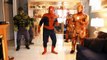 T-Rex vs BATMAN SPIDERMAN Captain America - Ironman Prank - Halo - IRL - Superhero Fun In Real Life