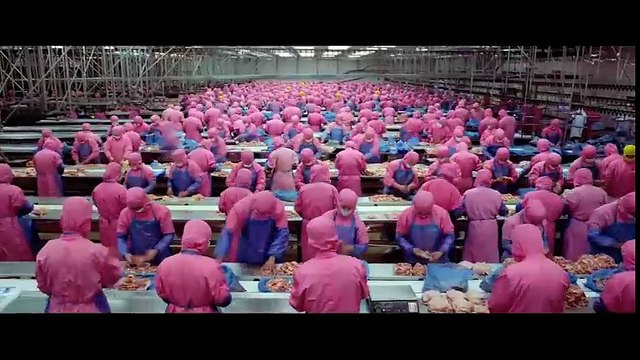 Quá trình chế biến thịt của các động vật trước khi bày bán trên siêu thị