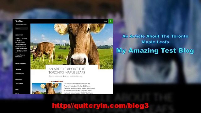 An Article About The Toronto Maple Leafs