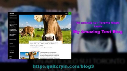 Un articolo su i Toronto Maple Leafs