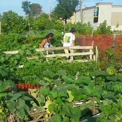 Workout Meals Toronto