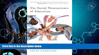 Big Deals  The Social Neuroscience of Education: Optimizing Attachment and Learning in the