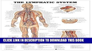 New Book The Lymphatic System Anatomical Chart