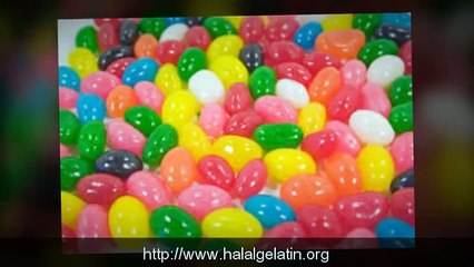 Halal Gelatin