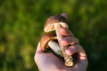 찜알바《검색》고수입알바,인천유흥알바,일하자닷컴,쉬즈알바