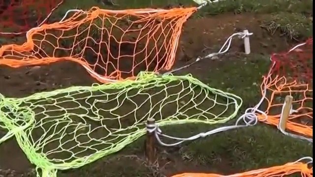 Cách bắt thỏ của người nước ngoài