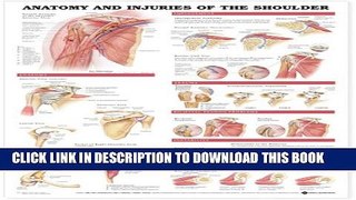 Collection Book Anatomy and Injuries of the Shoulder Anatomical Chart