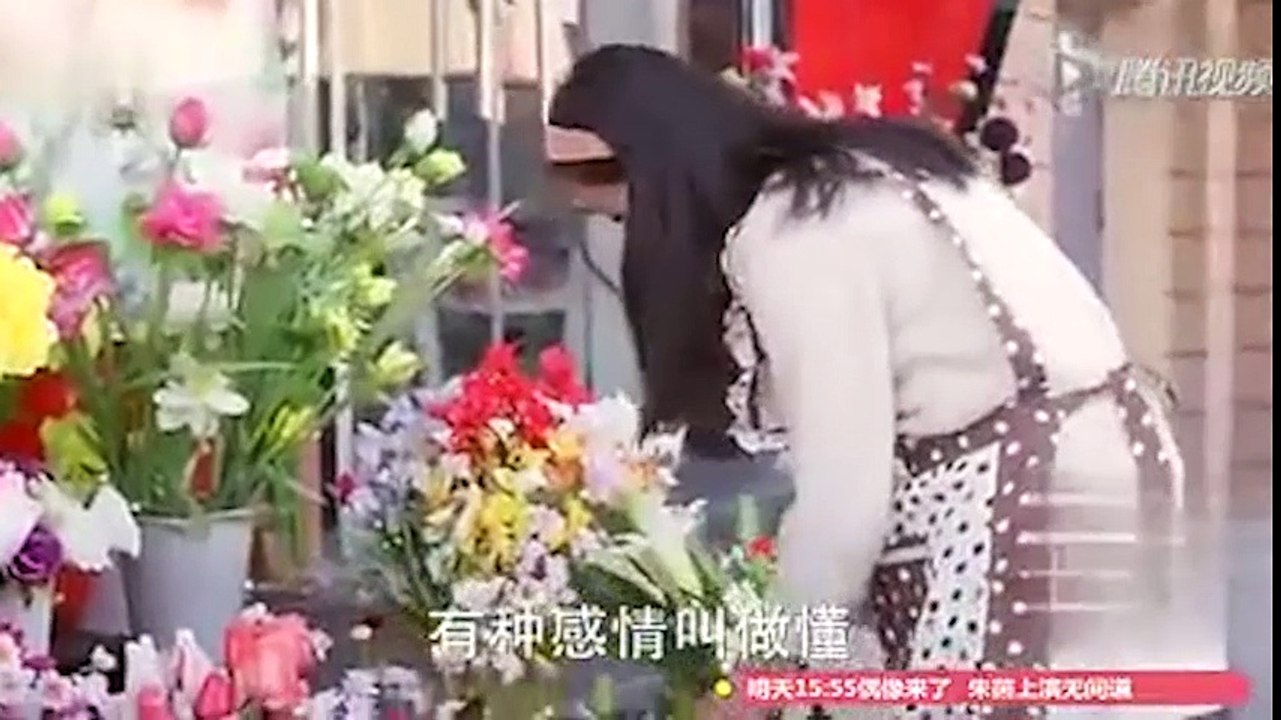 Clip động vật - chú chó xin hoa để thăm mộ chủ