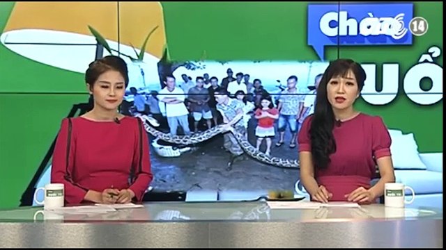 Tin tức - cụ ông 73 tuổi giết trăn không lồ