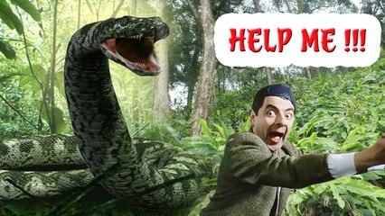 Wild animals - The world's largest python is found in the Amazon forest