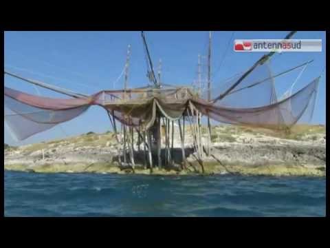 Tg antennasud 21 09 2016 Briatore boccia il turismo della Puglia o è la Puglia che boccia Briator