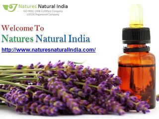 Online Premum Organic Essential Oils Suppliers
