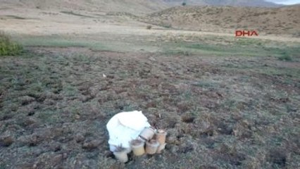 Hakkari - Şemdinli'de PKK'ya Ait 41 Anti-personel Mayın Bulundu