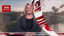 'Giant' wasp invades BBC Scotland news camera - BBC News