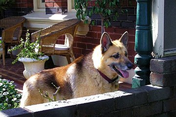 여자알바생『찜알바』여성고소득알바