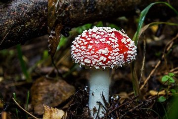찜알바『zzimalba.com』대구유흥알바,인천남자알바