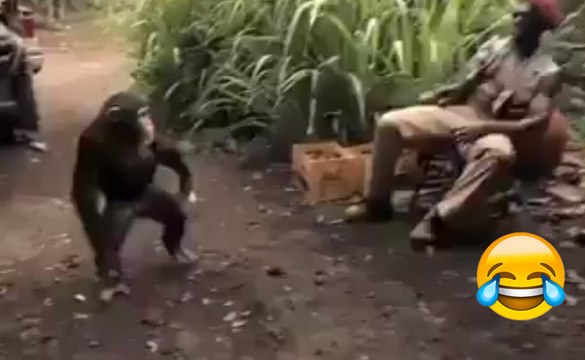 Des soldats africains vont regretter d'avoir jouer avec ce singe ! LOL