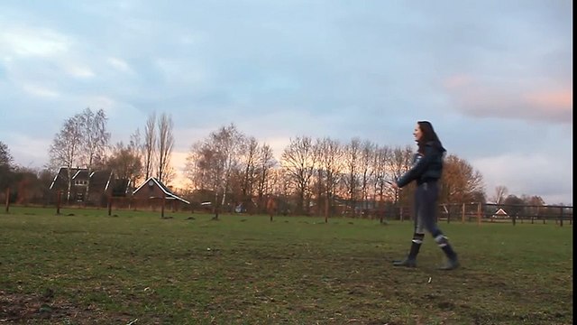 Chú ngựa con đáng yêu thu hút triệu lượt xem