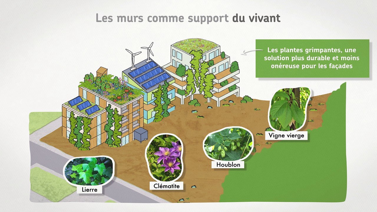 Bâtiment et biodiversité.  Et si l'on pensait les villes et les bâtiments comme des écosystèmes.