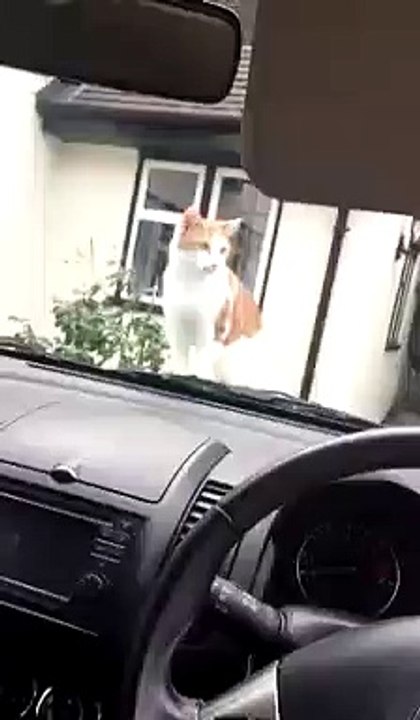 VID-20160811-WA0013
