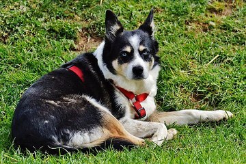 찜알바《검색》알바렐라,포항19알바,도우미알바,유흥알바