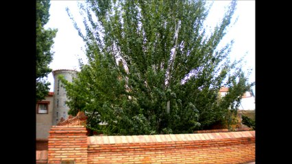 Comarca de Guadix, taller biblioteca 15