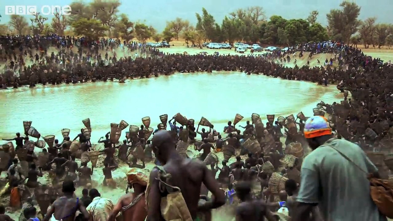 Thousands of fishermen empty lake in minutes