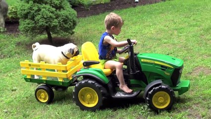 PUG LOVES JOHN DEERE TRACTORS
