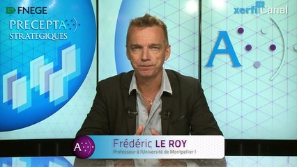 Frédéric Le Roy, Distinguer les coopétitions horizontales et verticales - les enjeux