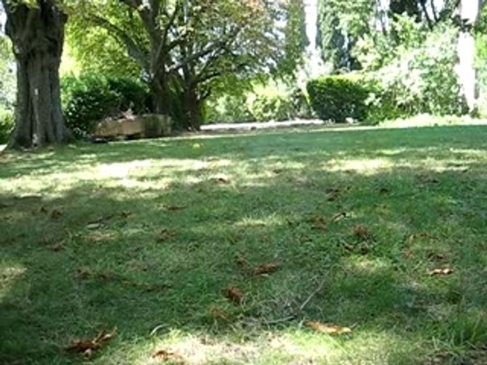 MVI_4204