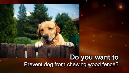 Prevent dog from chewing wood fence