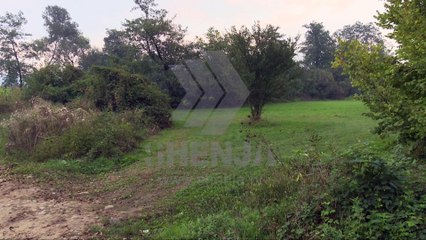 Këshilltarët e Tearcës kërkojnë llogari nga Asani