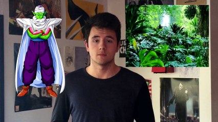 10 CHOSES QUE VOUS IGNOREZ SUR DRAGON BALL - 10 CQVIS #3