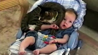 Cute Cats And Adorable Babies  Compilation