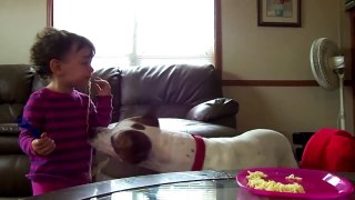 Cute Dogs And Adorable Babies  Funny Compilation