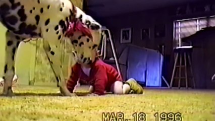 Cute Dogs And Adorable Babies 3  Compilation