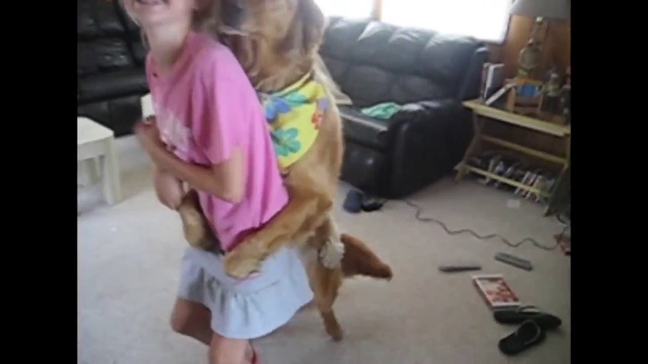 Dancing Dogs  Compilation