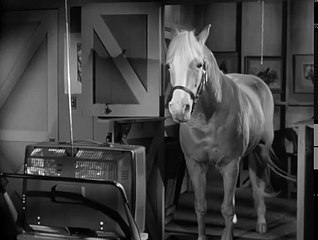 Mister Ed S4 | The Prowler