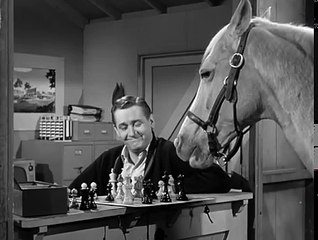 Mister Ed S4 | Eds Dentist