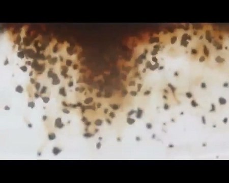 Wagh Bakri Mili Tea TVC ,Foodstyling by Chef Payal Gupta