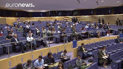 Διευθύντρια σε offshore όσο ήταν Επίτροπος η Νέλι Κρους