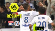 Olympique Lyonnais - Montpellier Hérault SC (5-1)  - Résumé - (OL-MHSC) / 2016-17