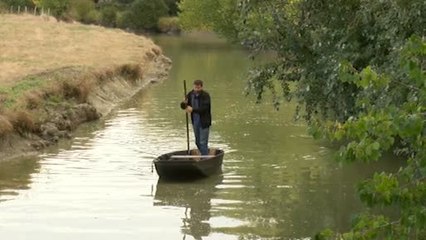Écosystème : Visite du marais breton-vendéen (Le Perrier)
