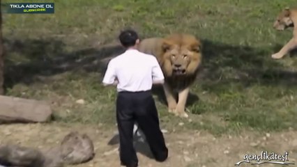 Aslanlara Kafa Tutan Adam
