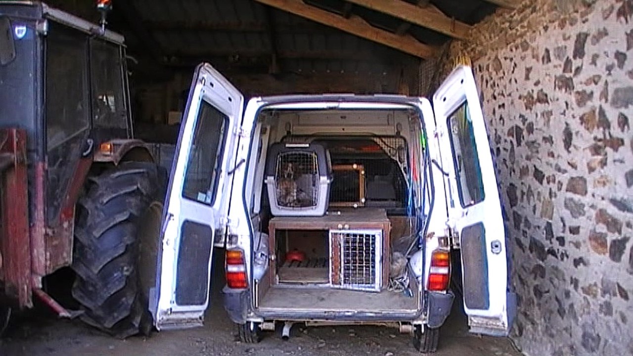 Clip dans la voiture  - Copie