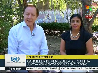 Pide Delcy Rodríguez a DDHH-ONU que vea por todos los pueblos