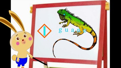 "La rentrée c'est ABC"  - L'alphabet en français, avec les animaux