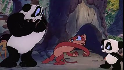 ANDY PANDA ENTRA NUMA FRIA