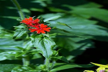 클럽알바『찜알바』고소득