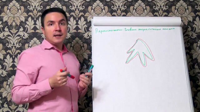 Евгений Грин - Парапсихология - Главные энергетические каналы